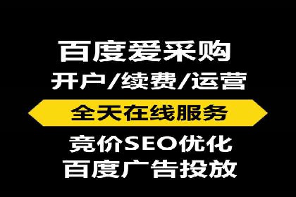 成功背后的力量：SEM推广代运营公司的故事
